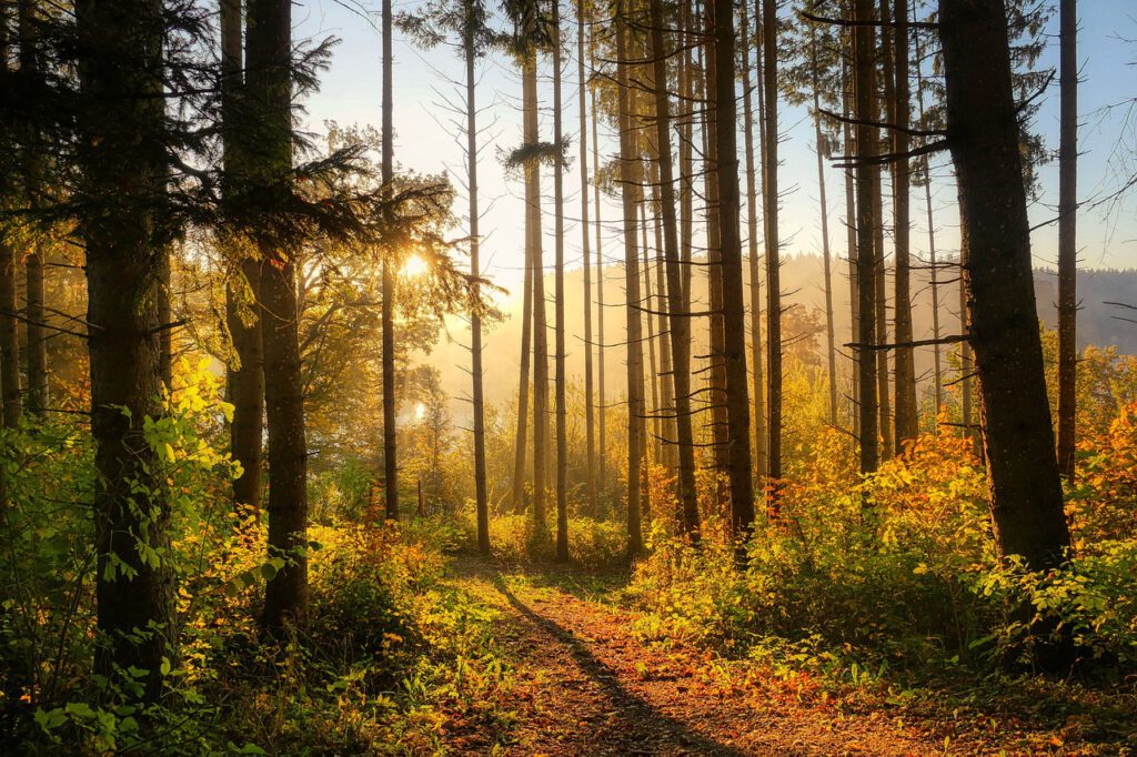 Wandern im Bergischen Land