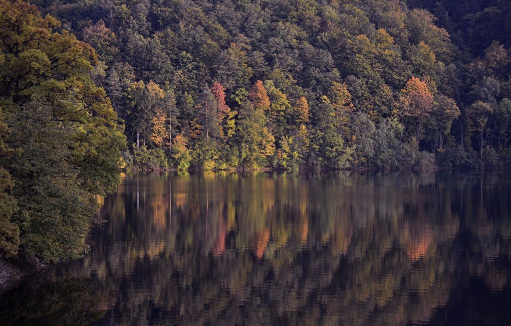 Natur im Bergischen Land