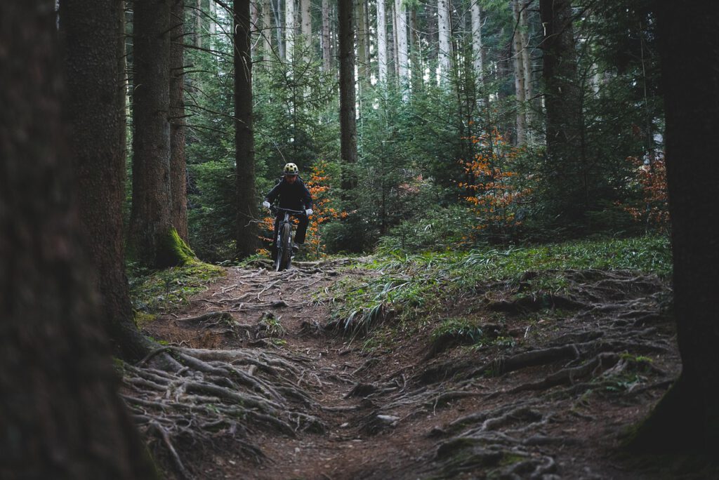 Mountainbiking im Wald